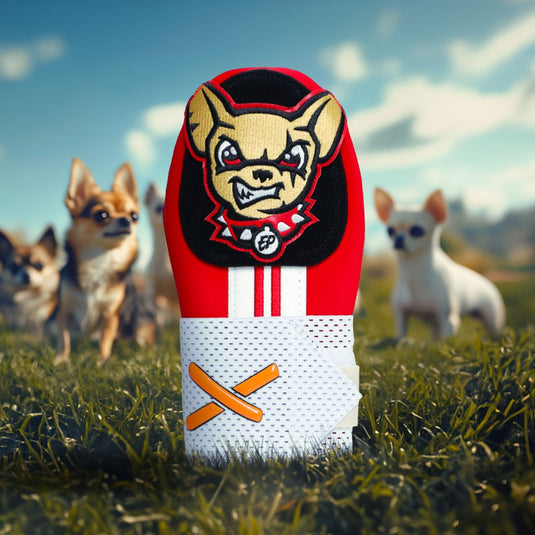 Chico Sliding Mitt | El Paso Chihuahuas MiLB Collab