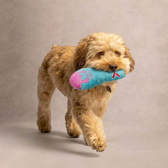 Miami Ice Dog Toy