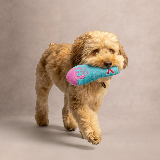 Miami Ice Dog Toy