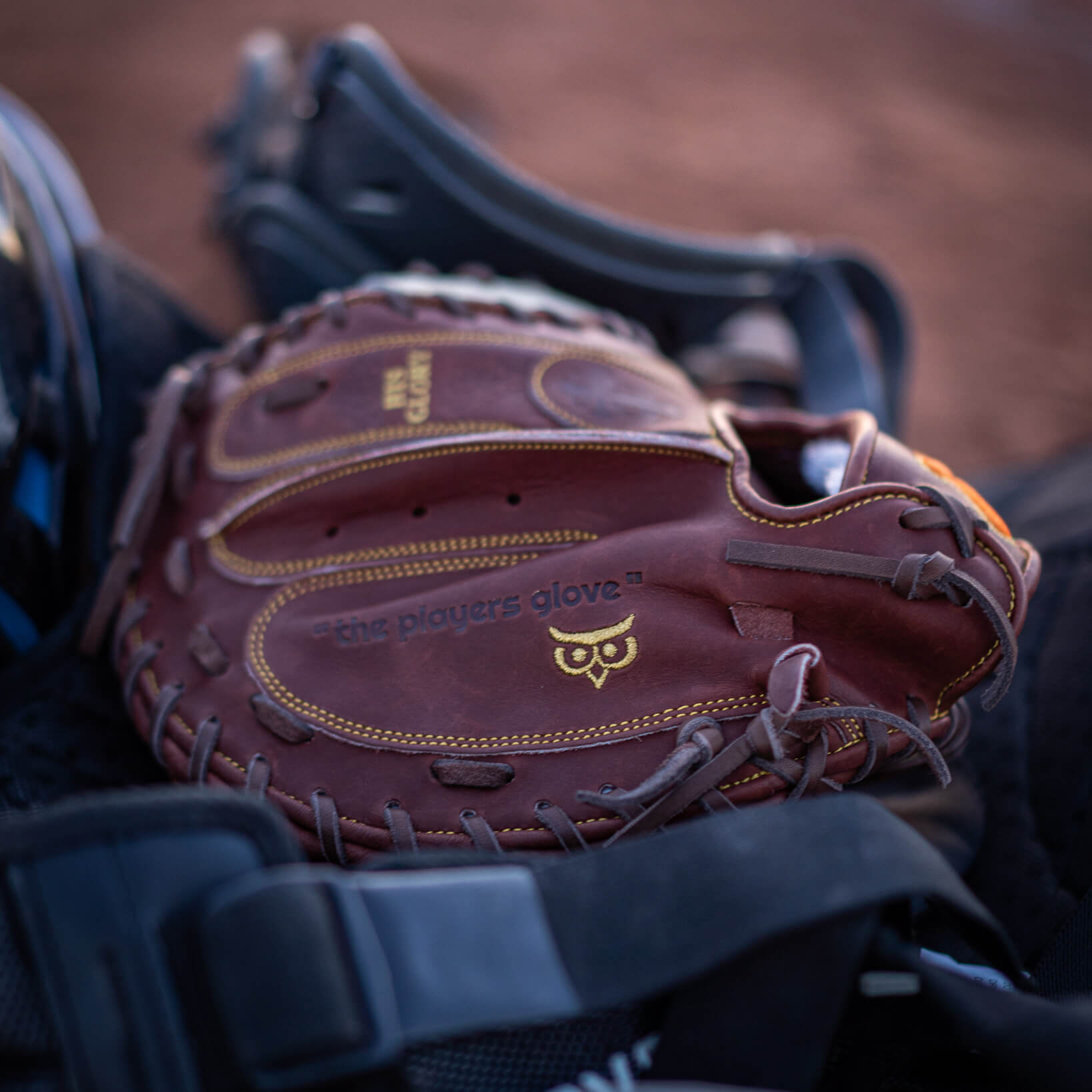 bible glove - baseball glove by luke weaver – Absolutely Ridiculous  innovation for Athletes